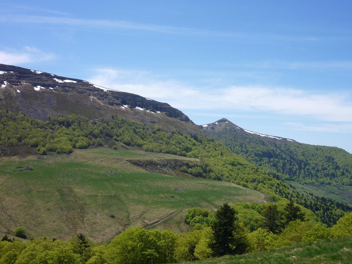 Auberge De L'Aspre Fontanges Eksteriør billede